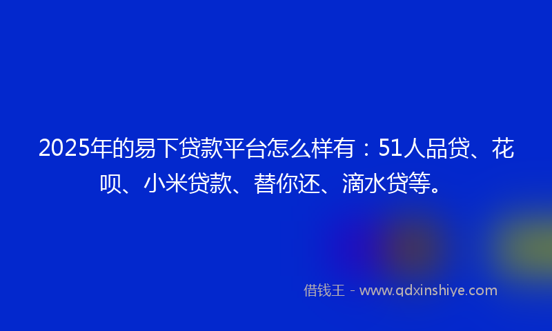 2025年的易下贷款平台怎么样有：51人品贷、花呗、小米贷款、替你还、滴水贷等。