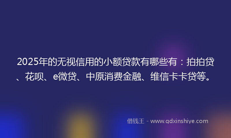 2025年的无视信用的小额贷款有哪些有：拍拍贷、花呗、e微贷、中原消费金融、维信卡卡贷等。