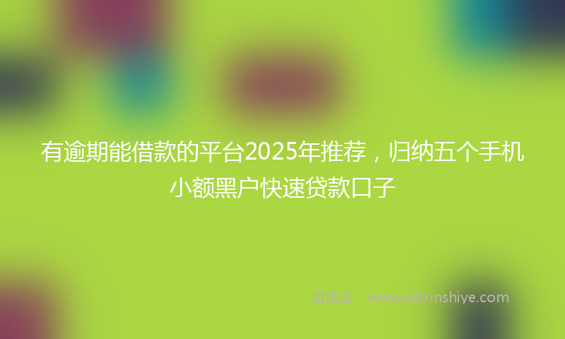 有逾期能借款的平台2025年推荐，归纳五个手机小额黑户快速贷款口子