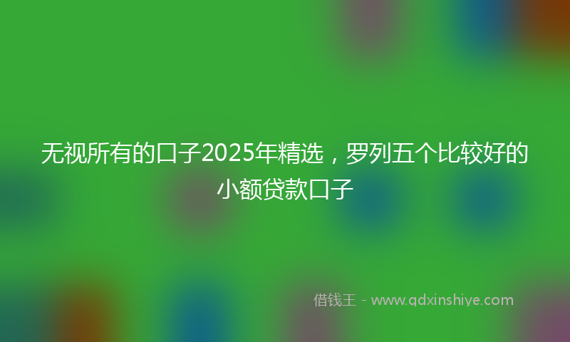 无视所有的口子2025年精选，罗列五个比较好的小额贷款口子