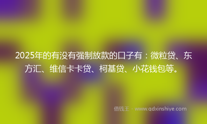 2025年的有没有强制放款的口子有：微粒贷、东方汇、维信卡卡贷、柯基贷、小花钱包等。