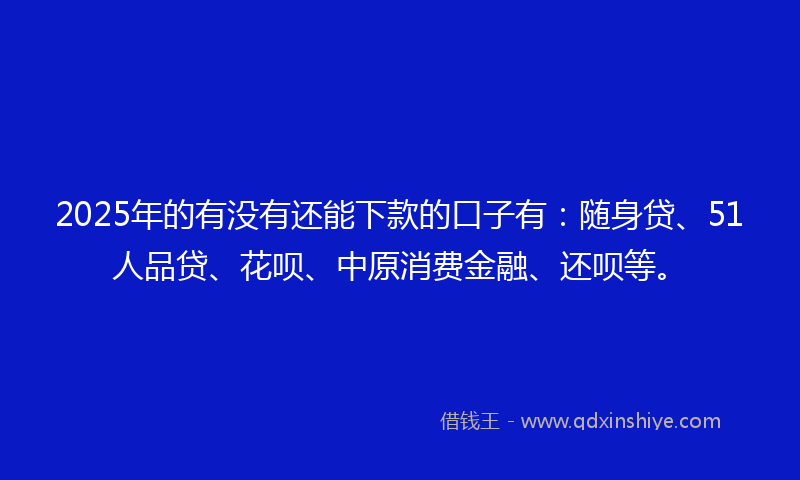 2025年的有没有还能下款的口子有：随身贷、51人品贷、花呗、中原消费金融、还呗等。