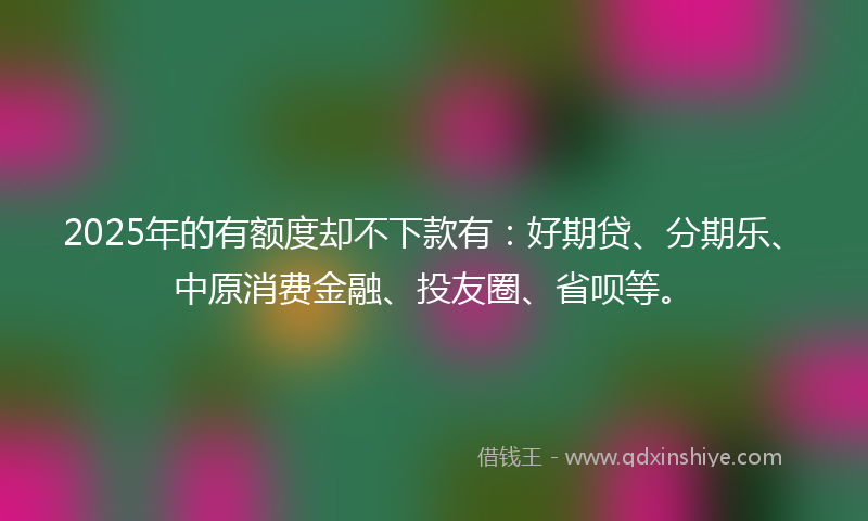 2025年的有额度却不下款有：好期贷、分期乐、中原消费金融、投友圈、省呗等。