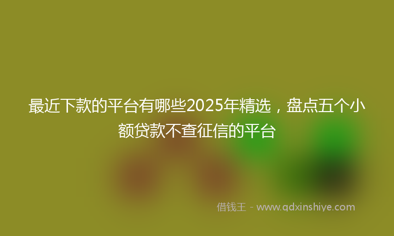 最近下款的平台有哪些2025年精选，盘点五个小额贷款不查征信的平台