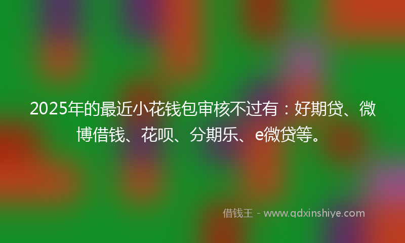 2025年的最近小花钱包审核不过有：好期贷、微博借钱、花呗、分期乐、e微贷等。