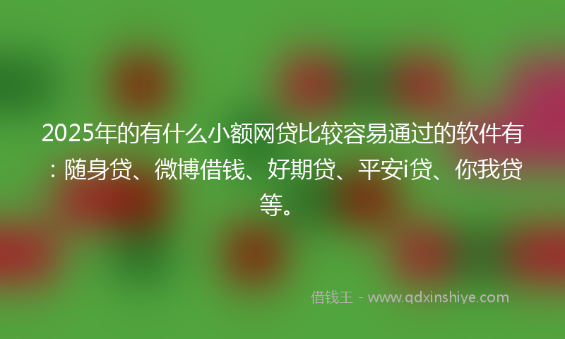 2025年的有什么小额网贷比较容易通过的软件有：随身贷、微博借钱、好期贷、平安i贷、你我贷等。