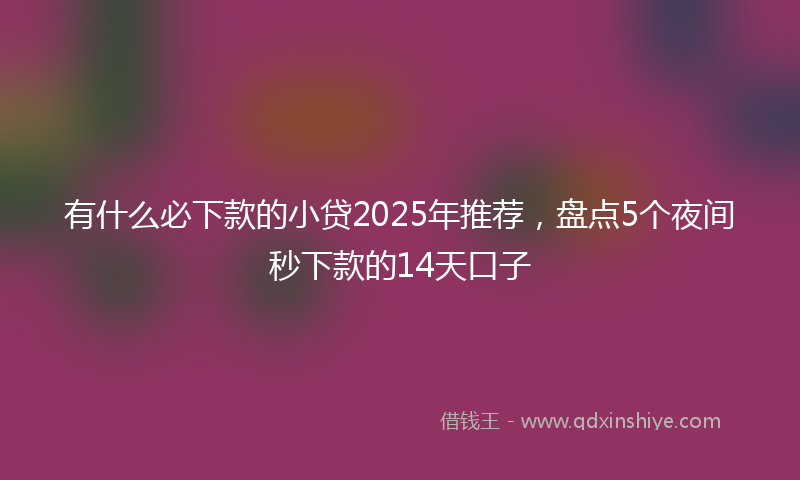 有什么必下款的小贷2025年推荐，盘点5个夜间秒下款的14天口子