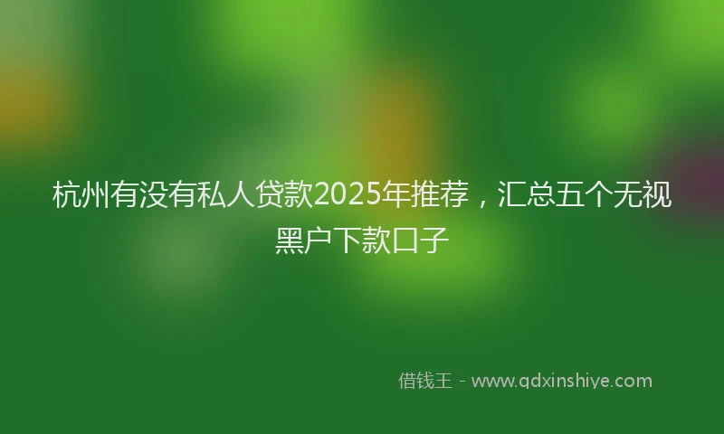 杭州有没有私人贷款2025年推荐，汇总五个无视黑户下款口子