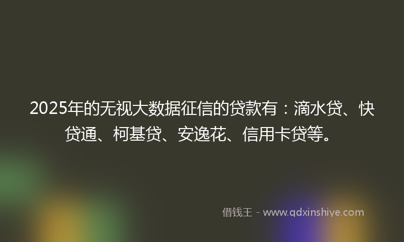 2025年的无视大数据征信的贷款有：滴水贷、快贷通、柯基贷、安逸花、信用卡贷等。