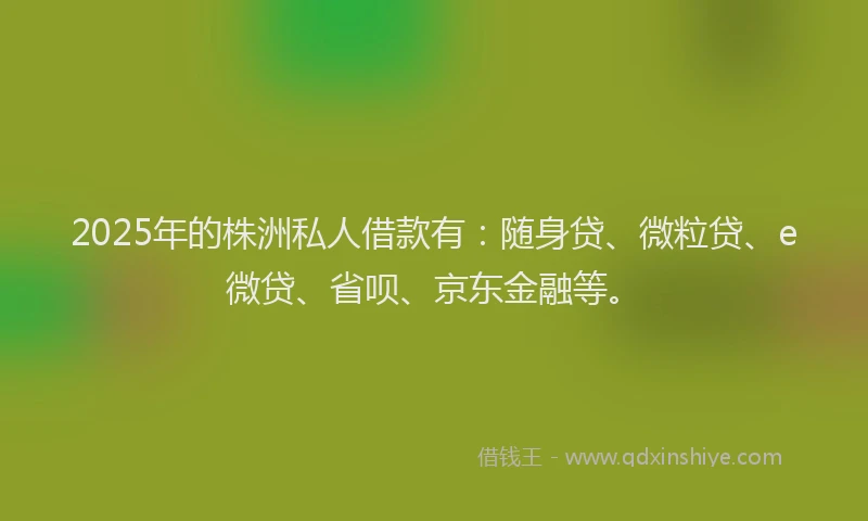 2025年的株洲私人借款有：随身贷、微粒贷、e微贷、省呗、京东金融等。