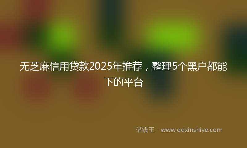 无芝麻信用贷款2025年推荐，整理5个黑户都能下的平台