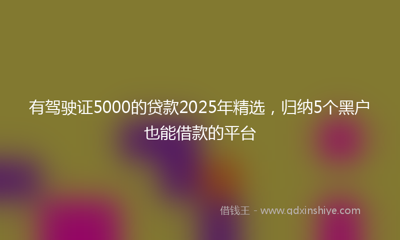 有驾驶证5000的贷款2025年精选，归纳5个黑户也能借款的平台