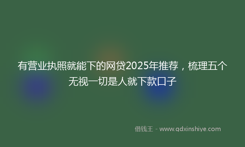 有营业执照就能下的网贷2025年推荐，梳理五个无视一切是人就下款口子