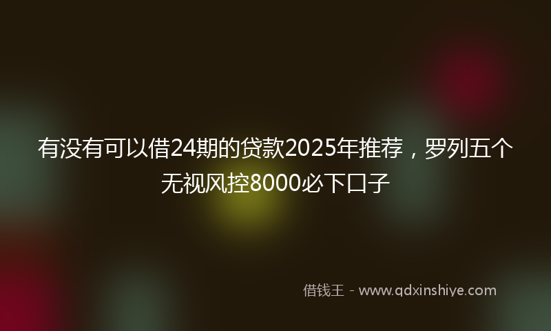 有没有可以借24期的贷款2025年推荐，罗列五个无视风控8000必下口子