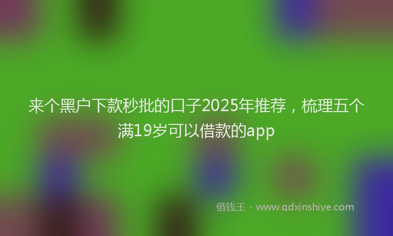 来个黑户下款秒批的口子2025年推荐，梳理五个满19岁可以借款的app