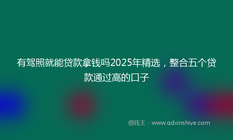 有驾照就能贷款拿钱吗2025年精选，整合五个贷款通过高的口子