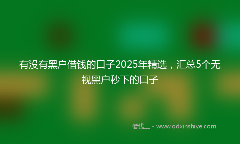 有没有黑户借钱的口子2025年精选，汇总5个无视黑户秒下的口子