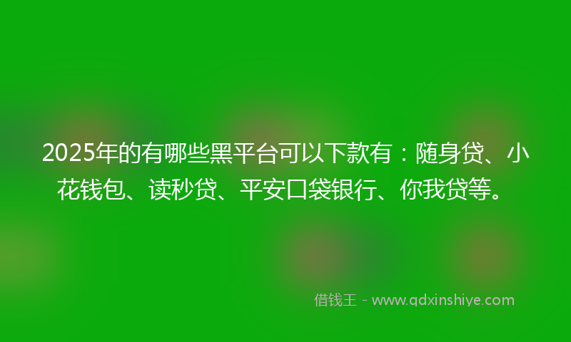 2025年的有哪些黑平台可以下款有：随身贷、小花钱包、读秒贷、平安口袋银行、你我贷等。