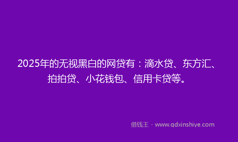 2025年的无视黑白的网贷有：滴水贷、东方汇、拍拍贷、小花钱包、信用卡贷等。