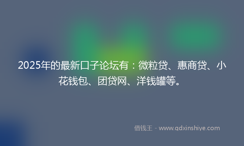2025年的最新口子论坛有：微粒贷、惠商贷、小花钱包、团贷网、洋钱罐等。