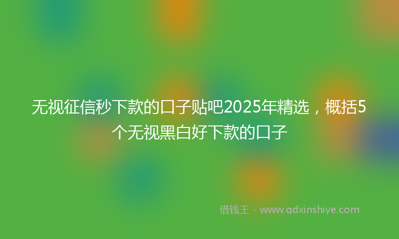 无视征信秒下款的口子贴吧2025年精选，概括5个无视黑白好下款的口子