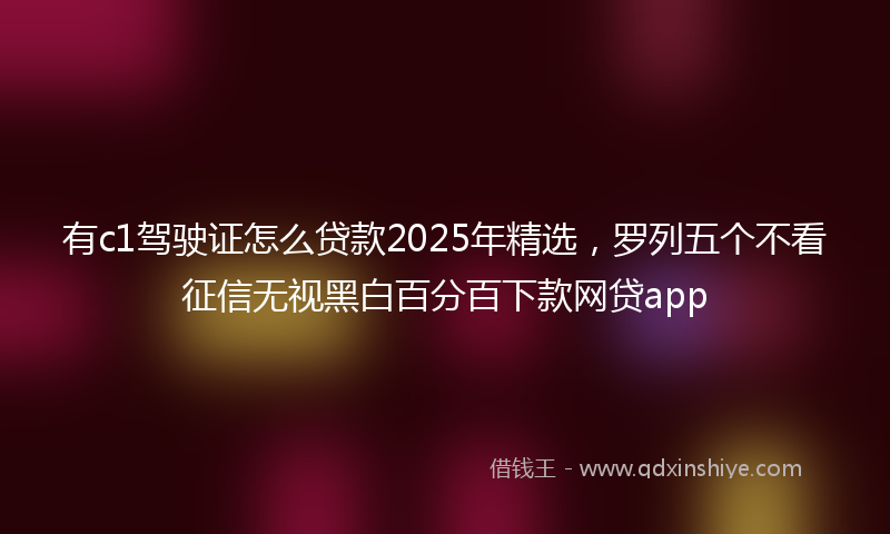 有c1驾驶证怎么贷款2025年精选，罗列五个不看征信无视黑白百分百下款网贷app