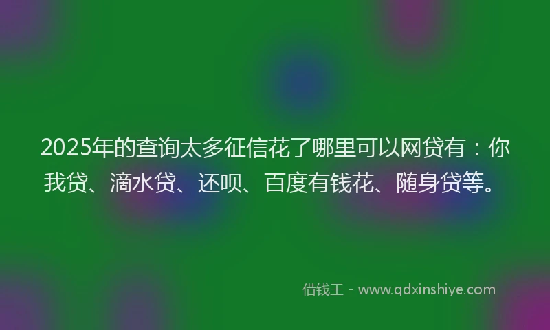 2025年的查询太多征信花了哪里可以网贷有：你我贷、滴水贷、还呗、百度有钱花、随身贷等。