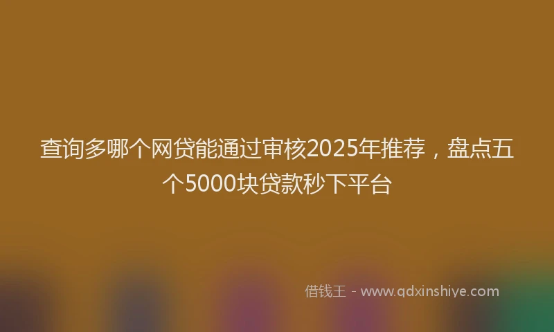 查询多哪个网贷能通过审核2025年推荐，盘点五个5000块贷款秒下平台