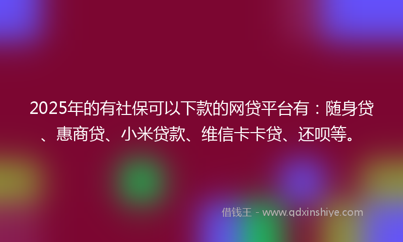 2025年的有社保可以下款的网贷平台有：随身贷、惠商贷、小米贷款、维信卡卡贷、还呗等。