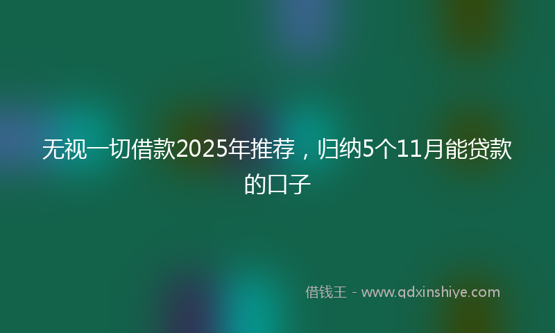 无视一切借款2025年推荐，归纳5个11月能贷款的口子