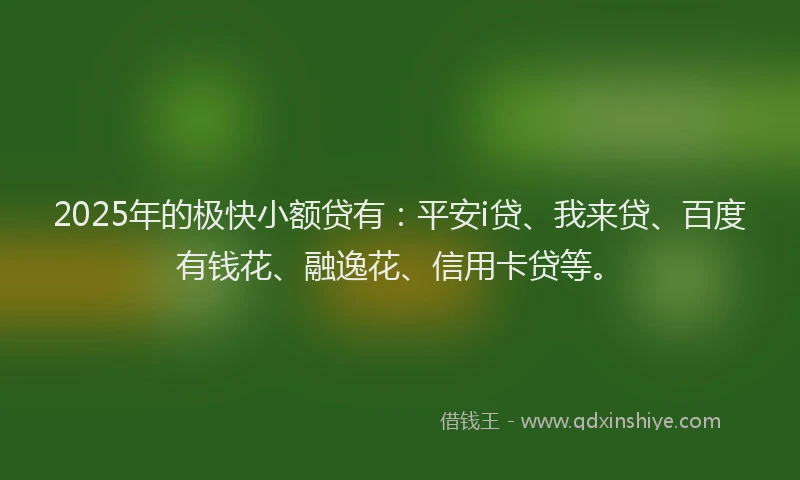 2025年的极快小额贷有：平安i贷、我来贷、百度有钱花、融逸花、信用卡贷等。