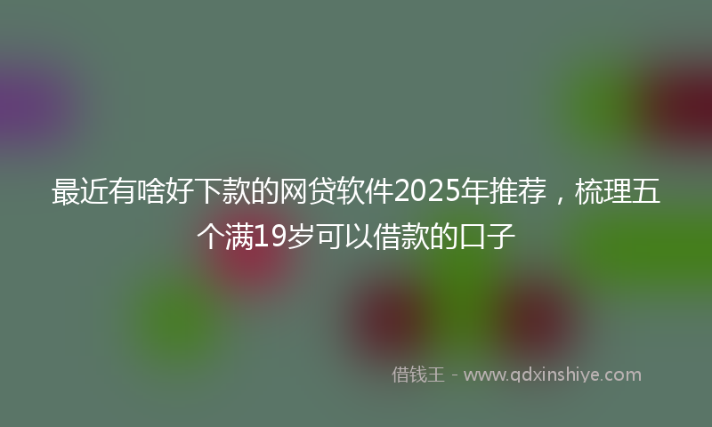 最近有啥好下款的网贷软件2025年推荐，梳理五个满19岁可以借款的口子