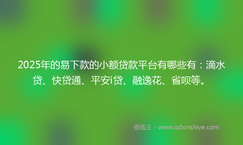 2025年的易下款的小额贷款平台有哪些有：滴水贷、快贷通、平安i贷、融逸花、省呗等。