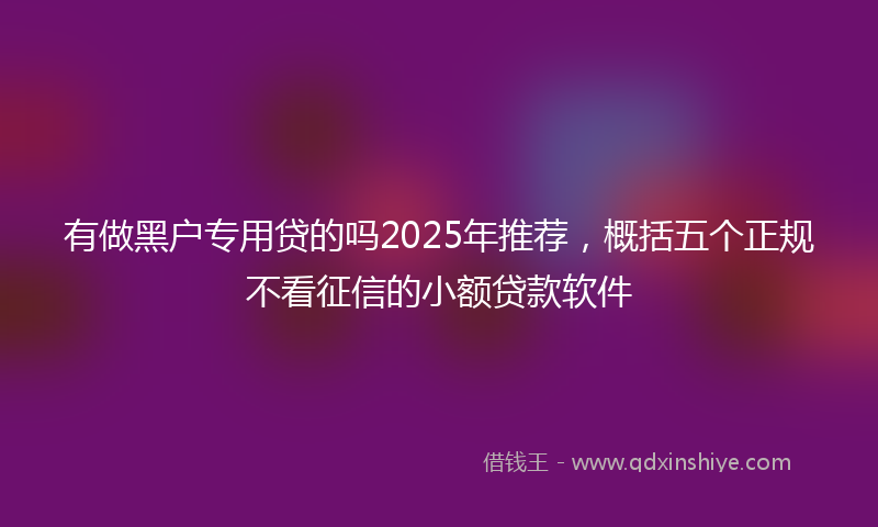 有做黑户专用贷的吗2025年推荐，概括五个正规不看征信的小额贷款软件