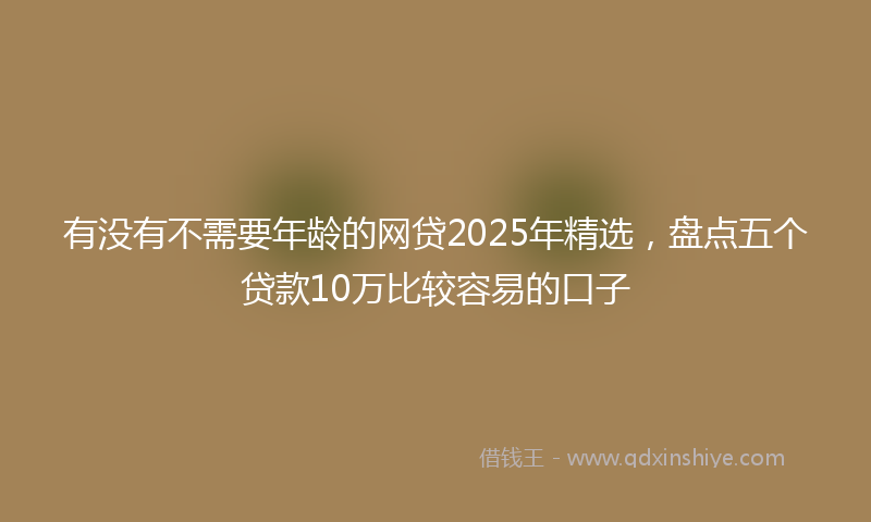 有没有不需要年龄的网贷2025年精选，盘点五个贷款10万比较容易的口子