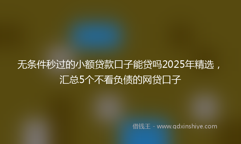 无条件秒过的小额贷款口子能贷吗2025年精选，汇总5个不看负债的网贷口子