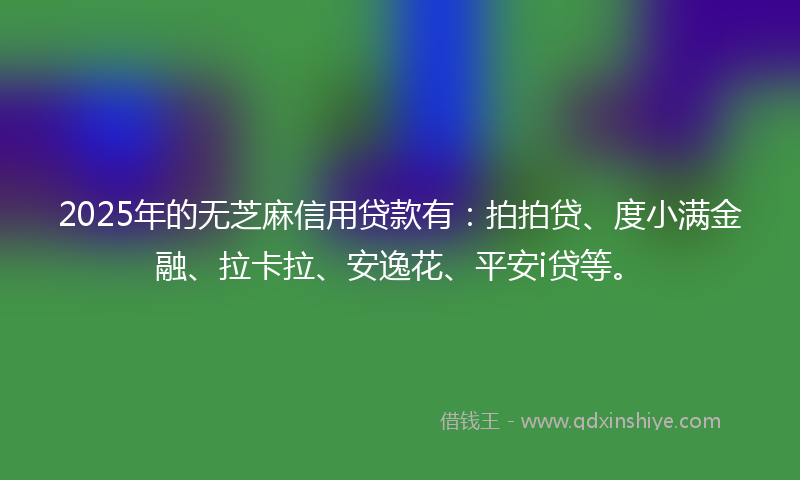 2025年的无芝麻信用贷款有：拍拍贷、度小满金融、拉卡拉、安逸花、平安i贷等。