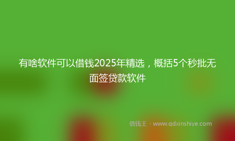 有啥软件可以借钱2025年精选，概括5个秒批无面签贷款软件