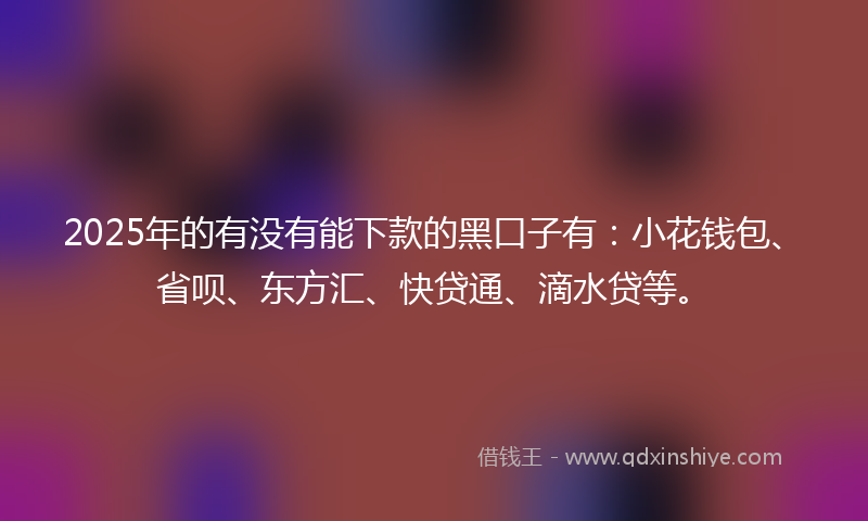 2025年的有没有能下款的黑口子有：小花钱包、省呗、东方汇、快贷通、滴水贷等。