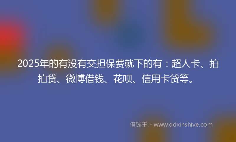 2025年的有没有交担保费就下的有：超人卡、拍拍贷、微博借钱、花呗、信用卡贷等。