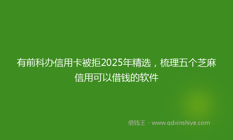 有前科办信用卡被拒2025年精选，梳理五个芝麻信用可以借钱的软件