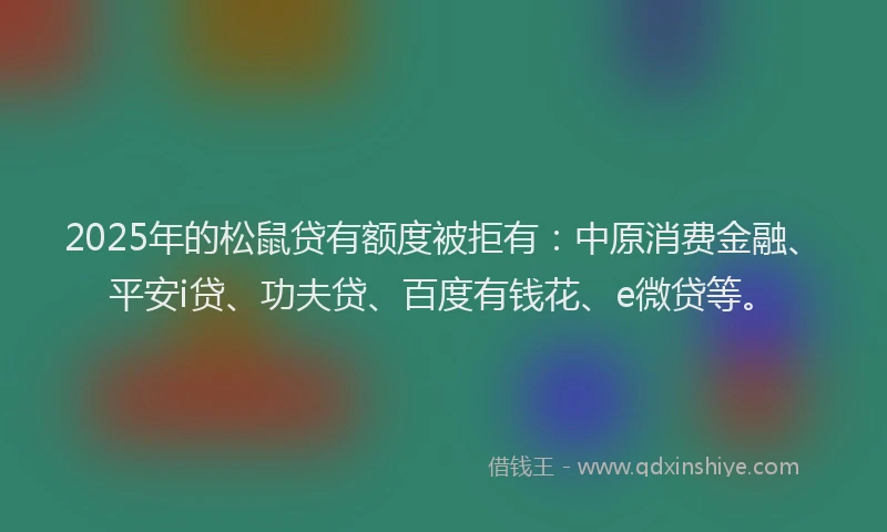 2025年的松鼠贷有额度被拒有：中原消费金融、平安i贷、功夫贷、百度有钱花、e微贷等。
