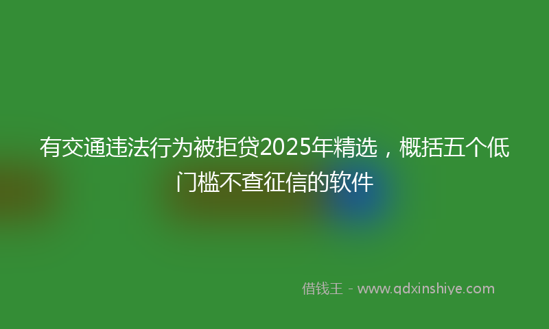 有交通违法行为被拒贷2025年精选，概括五个低门槛不查征信的软件