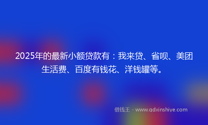 2025年的最新小额贷款有：我来贷、省呗、美团生活费、百度有钱花、洋钱罐等。