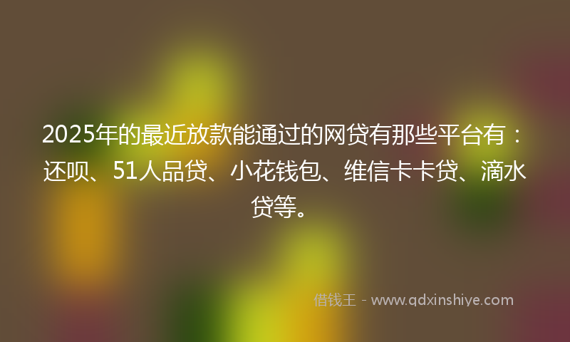 2025年的最近放款能通过的网贷有那些平台有：还呗、51人品贷、小花钱包、维信卡卡贷、滴水贷等。