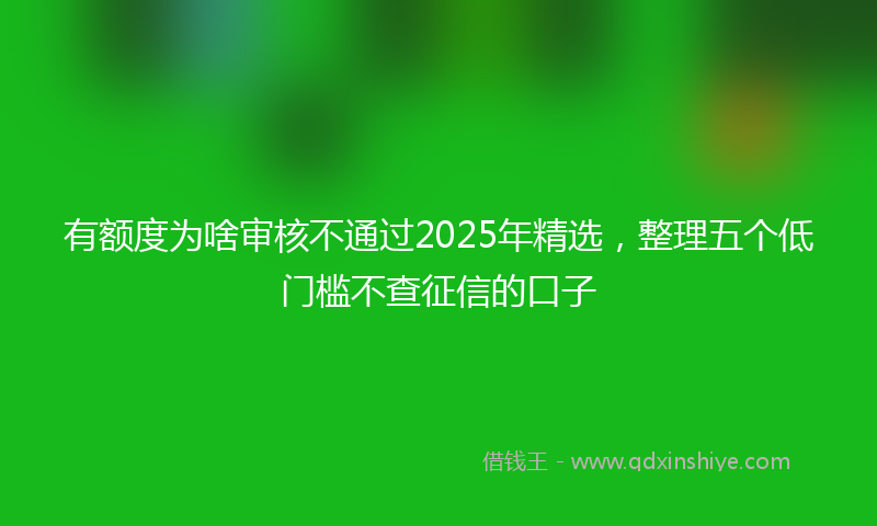 有额度为啥审核不通过2025年精选，整理五个低门槛不查征信的口子
