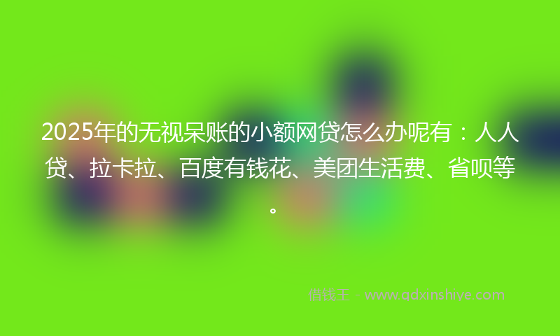 2025年的无视呆账的小额网贷怎么办呢有：人人贷、拉卡拉、百度有钱花、美团生活费、省呗等。
