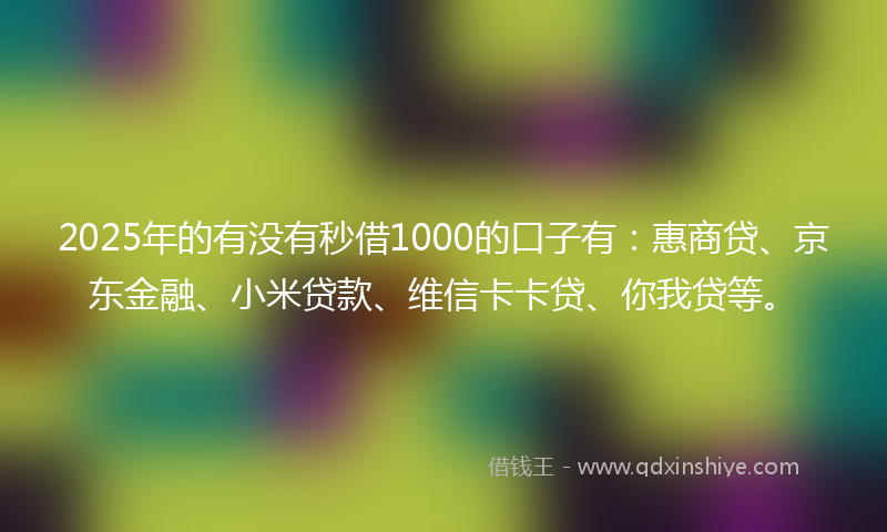 2025年的有没有秒借1000的口子有：惠商贷、京东金融、小米贷款、维信卡卡贷、你我贷等。