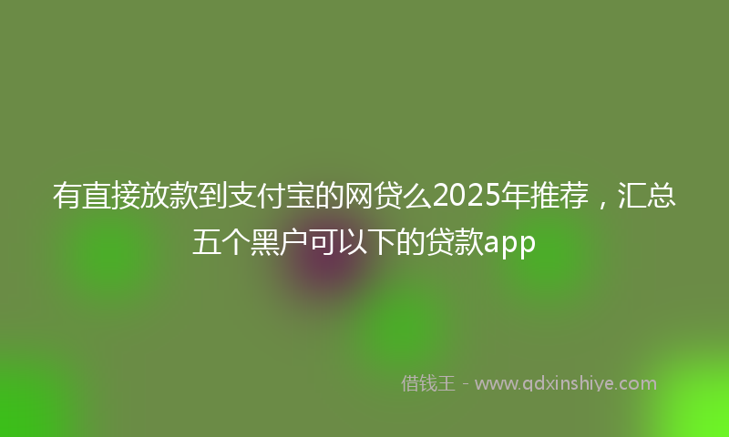 有直接放款到支付宝的网贷么2025年推荐，汇总五个黑户可以下的贷款app