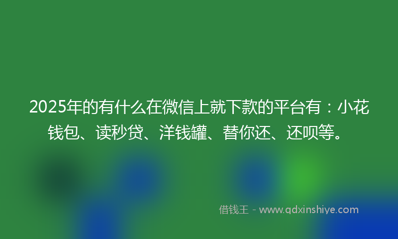 2025年的有什么在微信上就下款的平台有：小花钱包、读秒贷、洋钱罐、替你还、还呗等。